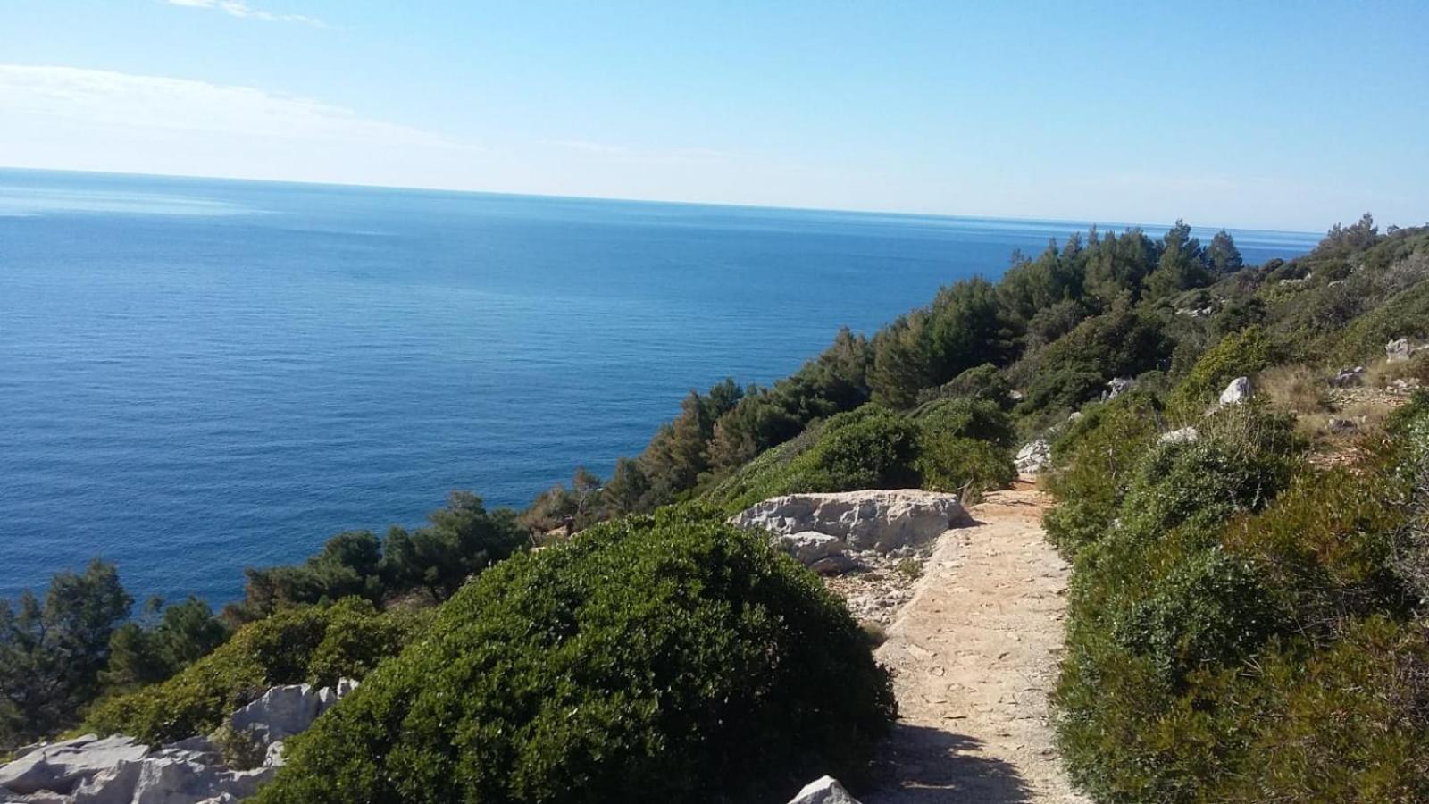 Apartment Nadine Mljet Mit Meerblick Okuklje Luaran gambar