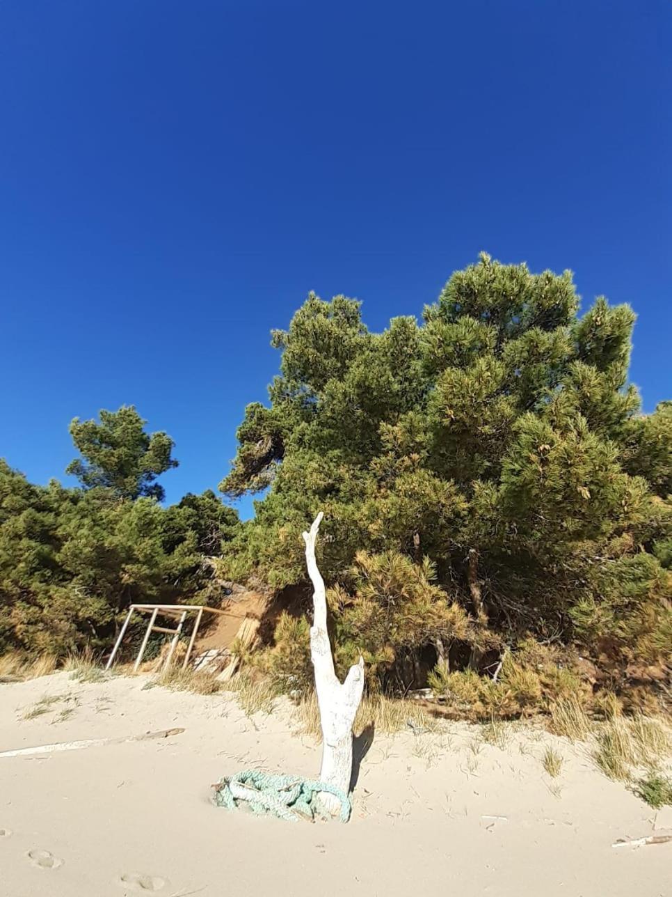Apartment Nadine Mljet Mit Meerblick Okuklje Luaran gambar