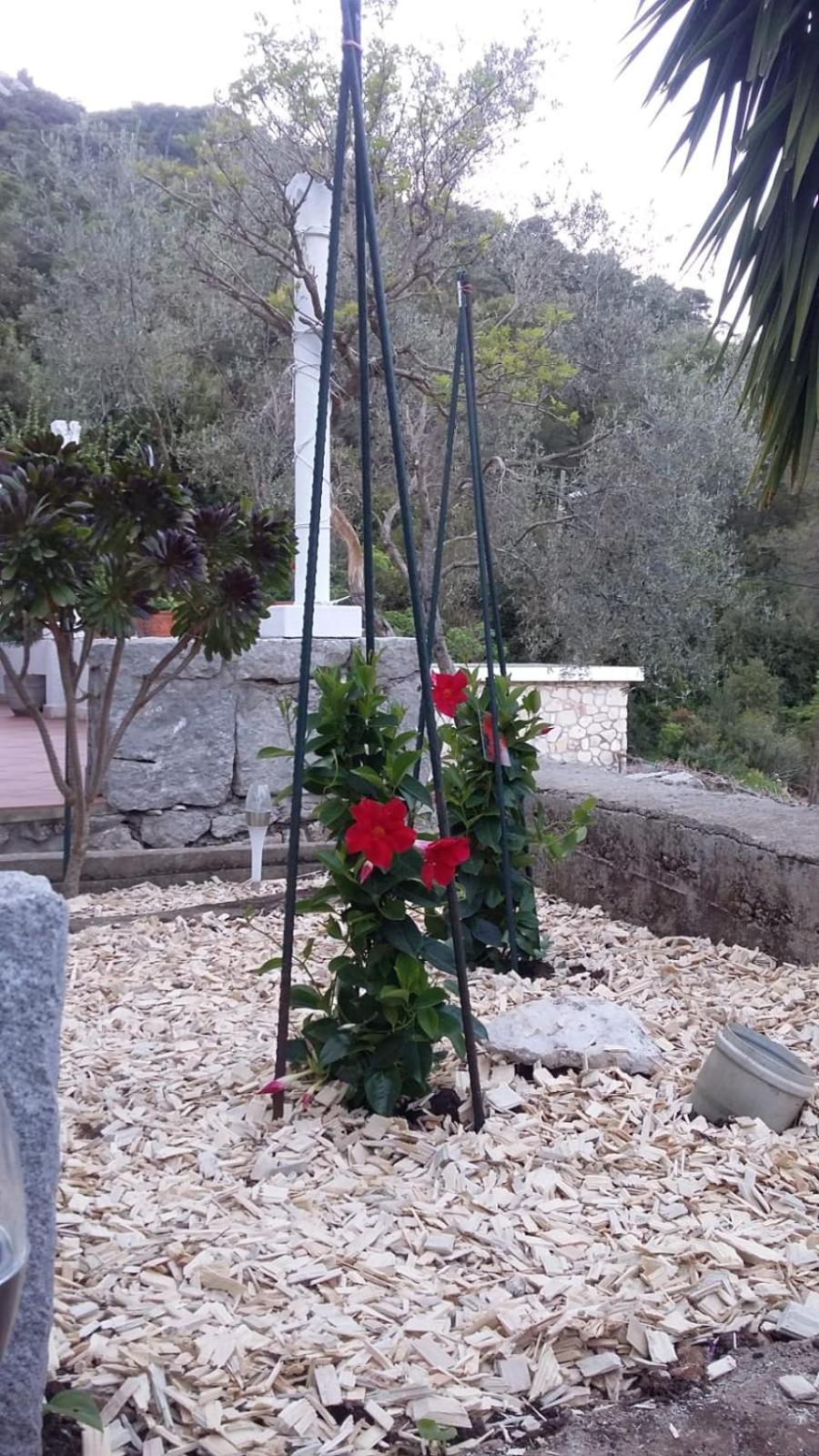 Apartment Nadine Mljet Mit Meerblick Okuklje Luaran gambar