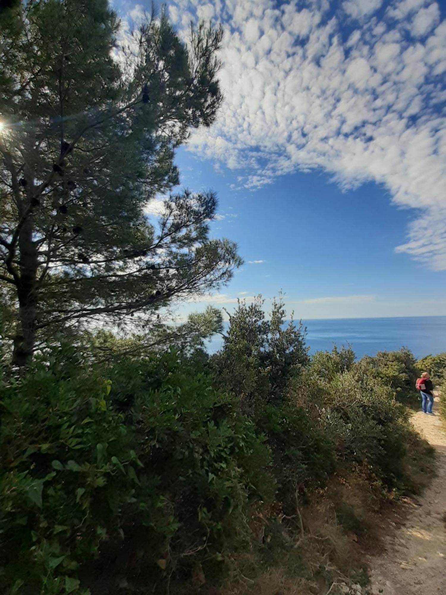 Apartment Nadine Mljet Mit Meerblick Okuklje Bilik gambar